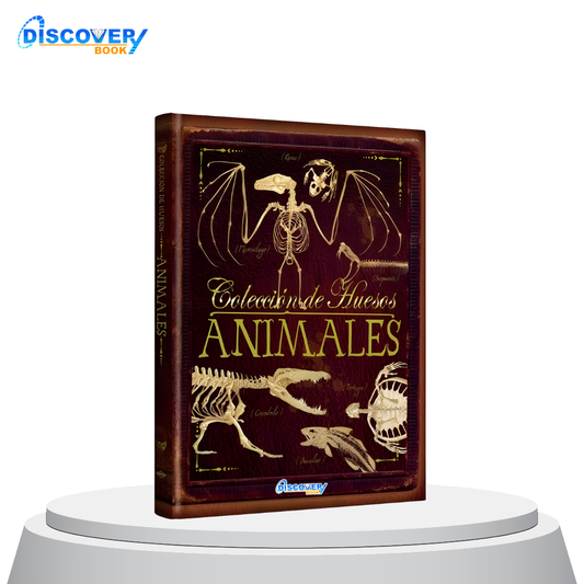 Colección de Huesos de Animales