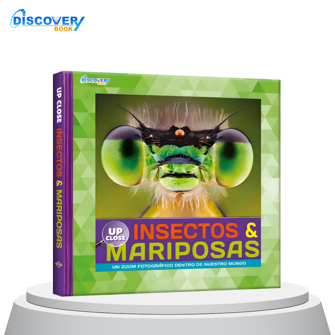 Insectos & Mariposas